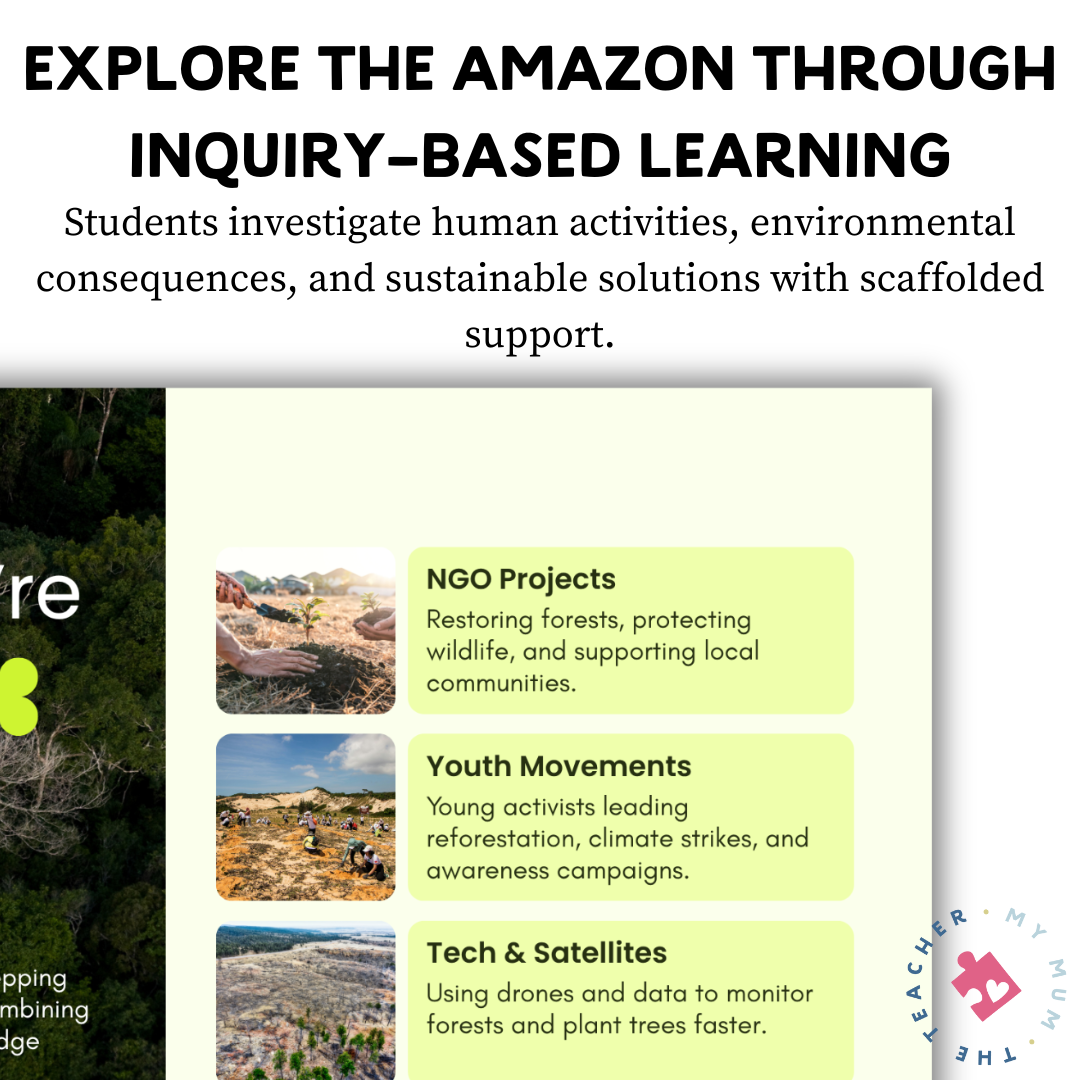 Amazon Rainforest Research Presentation & Graphic Organiser