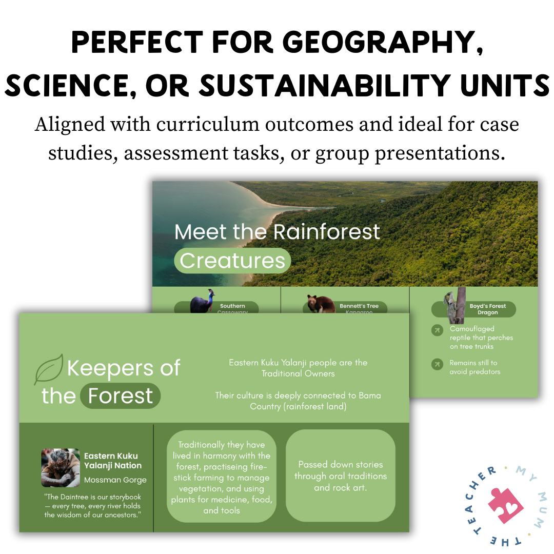 The Daintree Rainforest Research Presentation & Graphic Organiser