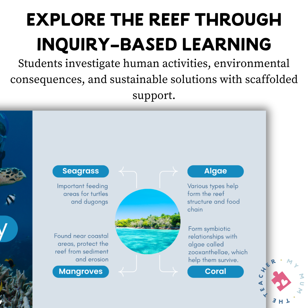 The Great Barrier Reef Research Presentation & Graphic Organiser