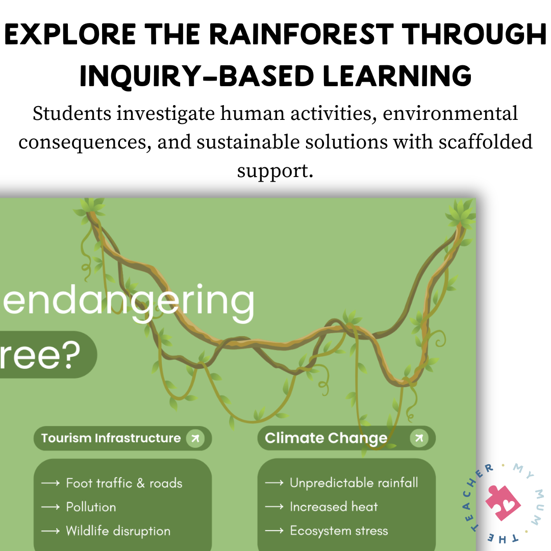 The Daintree Rainforest Research Presentation & Graphic Organiser