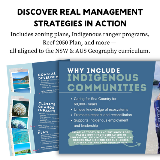 Great Barrier Reef Case Study | Year 7 Geography | Landscapes & Landforms Unit